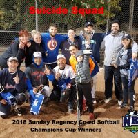 NRS 2018 Sunday Regency Co-ed Softball Champions Cup Winners Suicide Squad