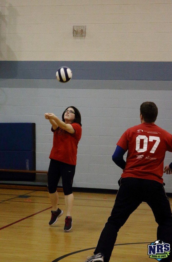 Court Volleyball 2