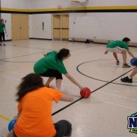 Dodgeball Pictures Niagara Rec Sports 